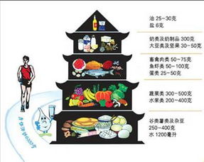 中国居民的膳食宝塔一共有5层.每一层都给人体提供什么营养素